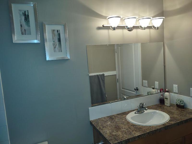 Spacious One Bedroom Walkout Basement Apartment *